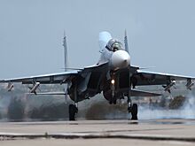 ВКС уничтожили высокопоставленных террористов в Сирии