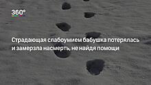 «Мегафон» разработал для волонтеров систему поиска пропавших детей