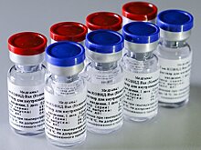 В РФПИ не исключили возможность производства вакцины "Спутник V" в Германии