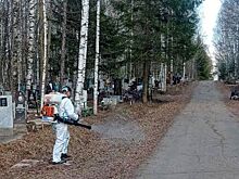 На кладбище Глазова переработают регламенты по захоронению