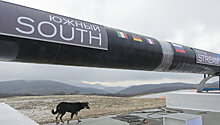 "Газпром" и OMV обсуждают возможность возрождения "Южного потока"