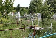 Омские кладбища обработают от клещей до Радоницы