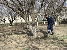 Собянин поручил начать подготовку к будущему отопительному сезону