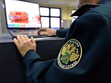 Мужчина попытался тайно вывезти из России золото на миллионы рублей и попался в аэропорту