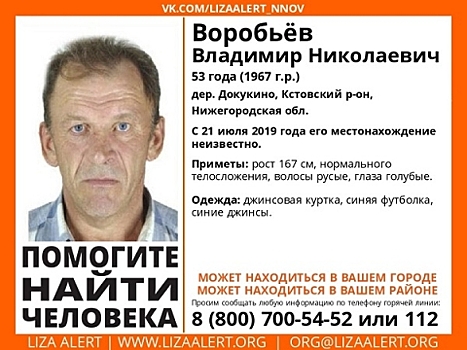 53-летний Владимир Воробьев пропал в Нижегородской области