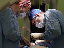 Найден эффективный способ продлить жизнь при агрессивном виде рака