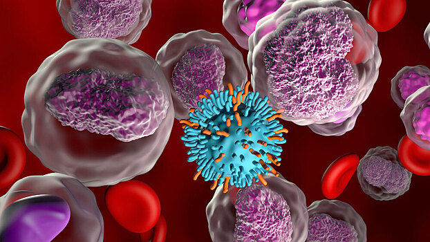 Найден «выключатель» иммунной памяти