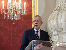 Поездка президента Австрии в США сорвалась из-за ЧП с самолетом