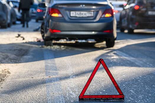 Попавший в ДТП россиянин обвинил в своем опьянении корм для попугаев