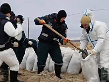 В МЧС Краснодарского края заявили, что берег галечных пляжей Анапы очищен от мазута