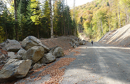 Экологи обнаружили незаконную дорогу рядом с Красной Поляной