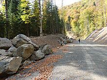 Экологи обнаружили незаконную дорогу рядом с Красной Поляной