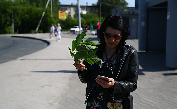 Когда закончится нашествие мошкары 2019 в Новосибирске