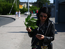 Когда закончится нашествие мошкары 2019 в Новосибирске