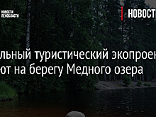 Уникальный туристический экопроект создают на берегу Медного озера