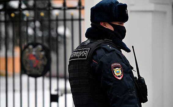 В подразделениях полиции Петербурга и Ленобласти проходят проверки