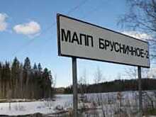 В ближайшие пять лет ехать в непогоду через «Брусничное» в Финляндию лучше не стоит