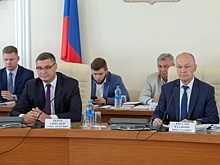 Владимирские многодетные семьи смогут выбирать меру поддержки