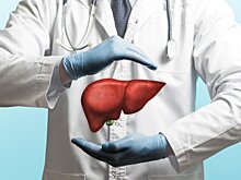 Гастроэнтеролог Карпенко назвал причины развития жирового гепатоза печени