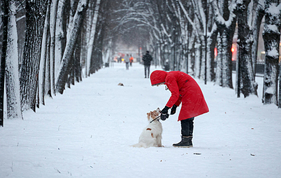 С эталонной русской зимы начнется в Москве 2026 год