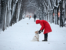 С эталонной русской зимы начнется в Москве 2026 год