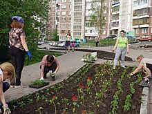 В 2020 году Томская область направит на благоустройство дворов 80 млн рублей