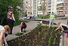 В 2020 году Томская область направит на благоустройство дворов 80 млн рублей