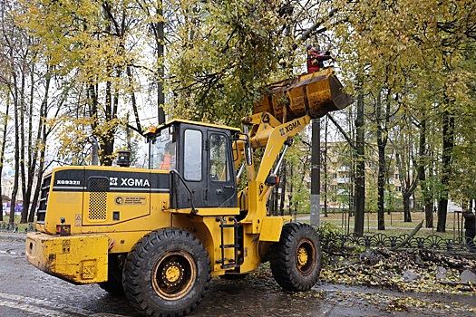 В мэрии Нижнего Новгорода объяснили, почему в городе вырубают деревья