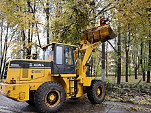 В мэрии Нижнего Новгорода объяснили, почему в городе вырубают деревья