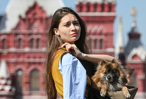 Это не театр: Депутат Бурматов призвал пускать россиян с питомцами в музеи