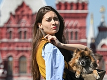 Это не театр: Депутат Бурматов призвал пускать россиян с питомцами в музеи