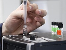 Глава СО РАН рассказал, какие векторы будут драйверами научного прогресса