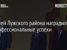 Жителей Лужского района наградили за профессиональные успехи