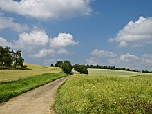 День летнего солнцестояния в 2022 году: дата, история, приметы