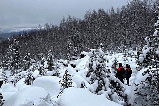 Усольцевы там, если живы: Что показали карты с места пропажи, раскрыла эксперт