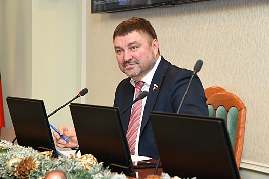 Нижегородские депутаты обратились в Госдуму из-за законов о недропользовании