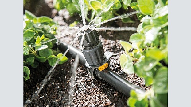 Как выбрать автополив для теплиц