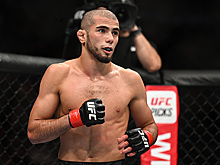 Боец UFC из Дагестана возмутился поведением Второго Макгрегора