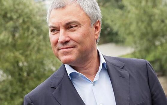 Володин заявил, что депутатов нельзя заменить роботами — у ИИ нет совести