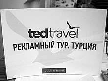 Эксперты рассказали, что подвело клиентов Ted Travel