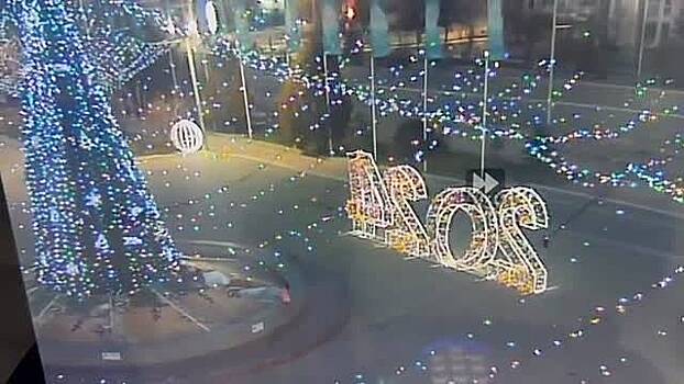 Мужчина поджег новогоднюю елку в знак протеста и попал на видео