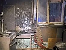 Под Новосибирском в пожаре погиб пенсионер и пять его собак