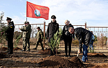 В Севастополе высадили аллею героев в честь погибших участников СВО