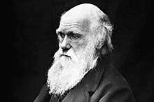 Сегодня отмечают День Дарвина