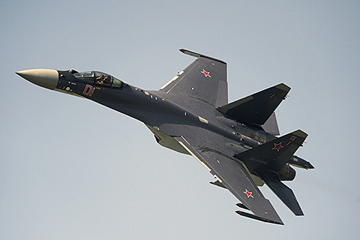 Разные роли: Су-35 сравнили с МиГ-35