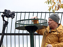 Нижегородский «Лимпопо» снимут в авторской программе «Диалоги о животных»