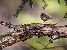 Раскрыто излюбленное место отдыха писателей в Москве