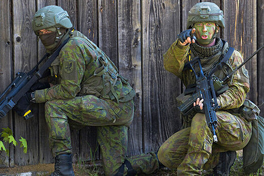 В Эстонии сообщили о прибытии в страну пехотной роты армии США