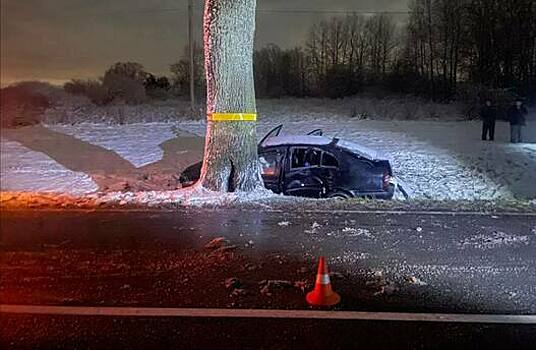 Под Багратионовском легковушка попыталась объехать пешехода на дороге и через встречку вылетела в дерево
