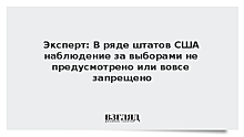 Эксперт сравнил практику международного наблюдения за выборами в России и на Западе